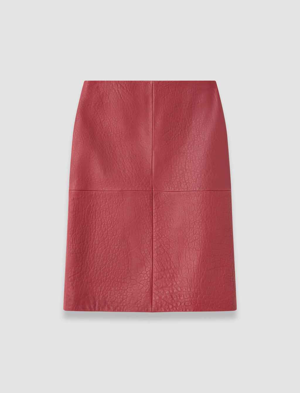 Shroff Pebble Leather Skirt